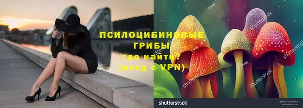MDMA Богданович
