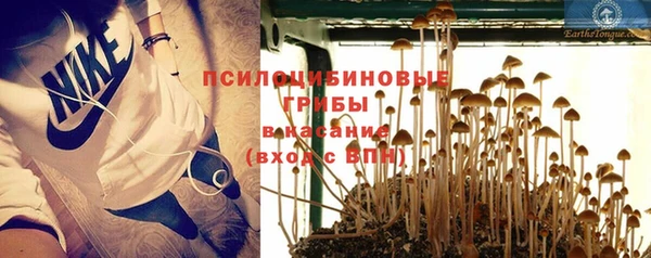 синтетический гашиш Богородск