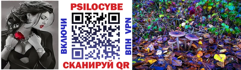OMG   Высоцк  Псилоцибиновые грибы Psilocybe 